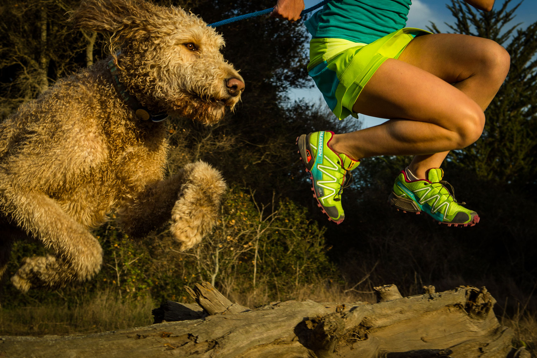Woman Trail Running With Labradoodle