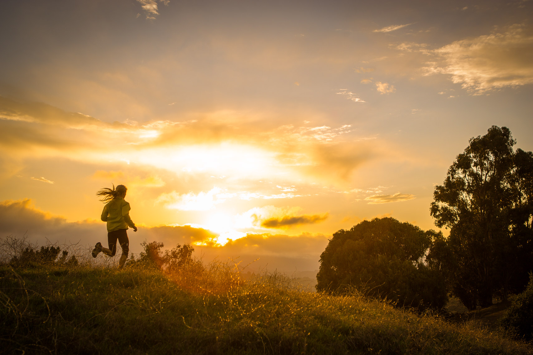 Trail Running at Sunset in the Berkeley Hills of Northern California