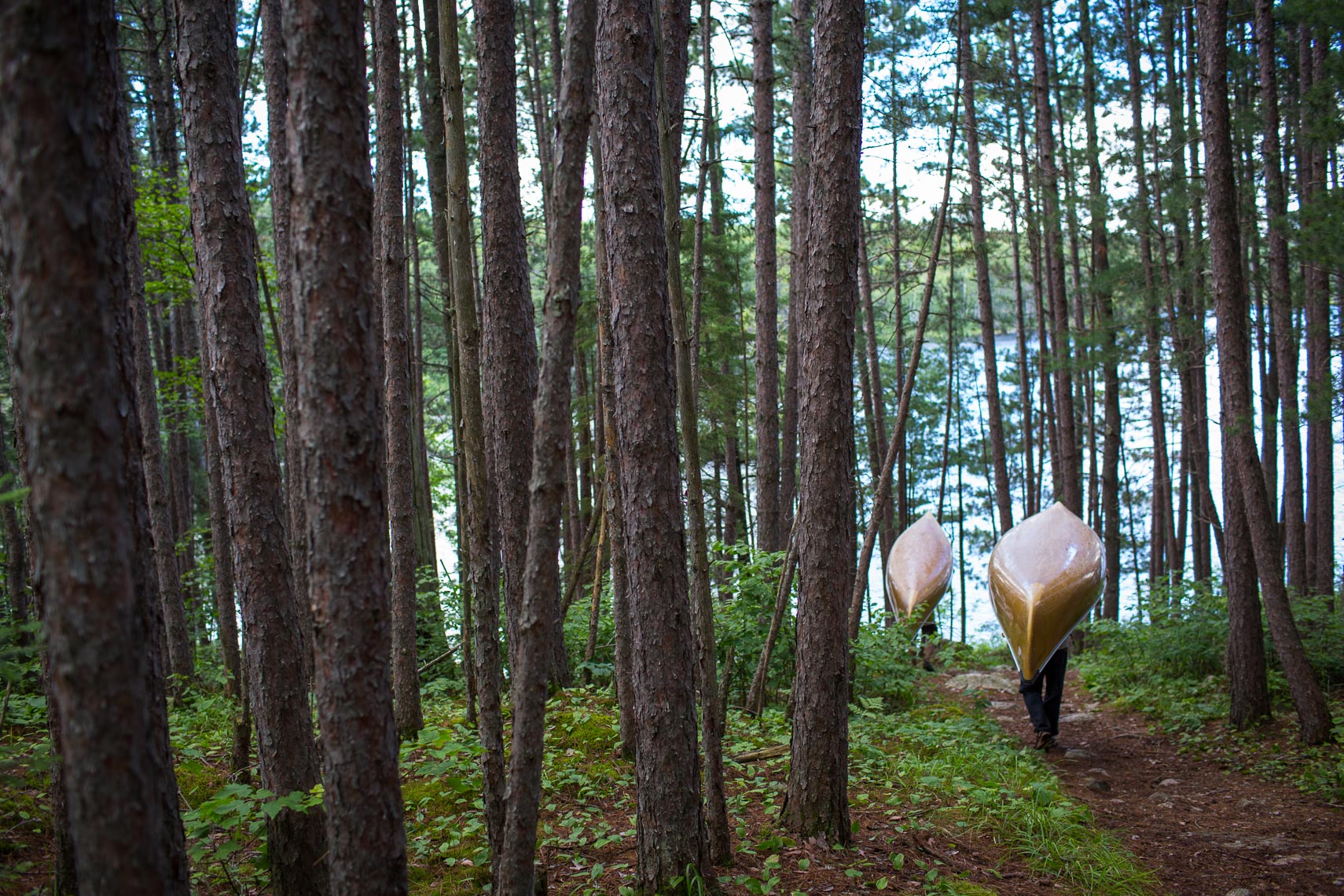 Portaging Canoes in the BWCA - Ely Fall Lake Entry