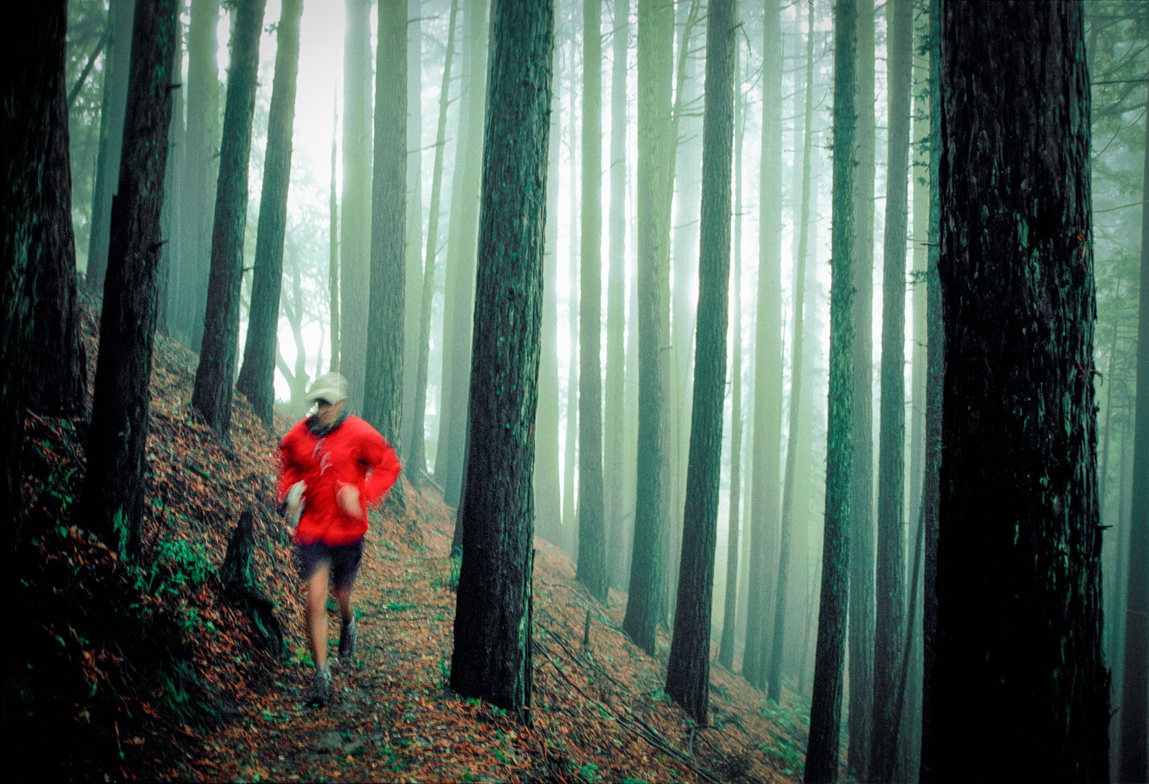 Foggy Trail Run on the Dipsea Trail in Northern California
