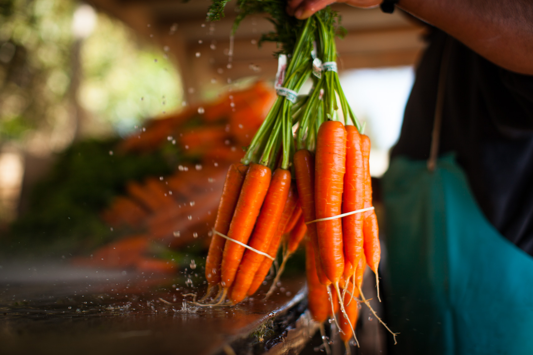 ag_web_portfolio-0014